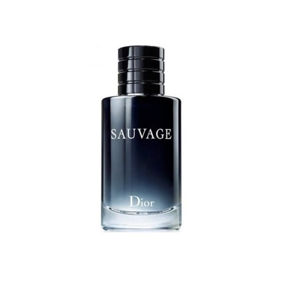 ادکلن مردانه دیور ساواج Sauvage Dior