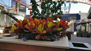 OnePlus-3T-Review-camera-samples-45-1280x720